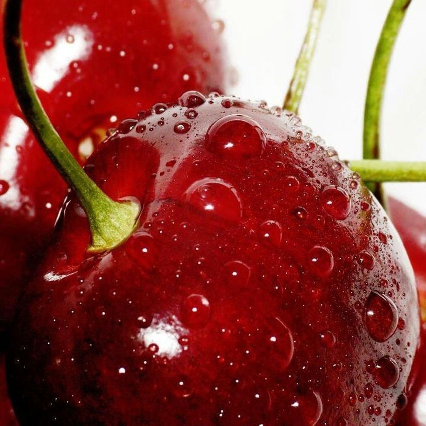 Fresh Red Cherries