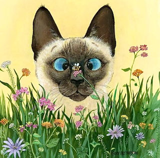 Bee On A Cat's Nose