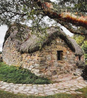 Stone cottage with thatched roof and small window, framed by overhanging tree branches in Scotland