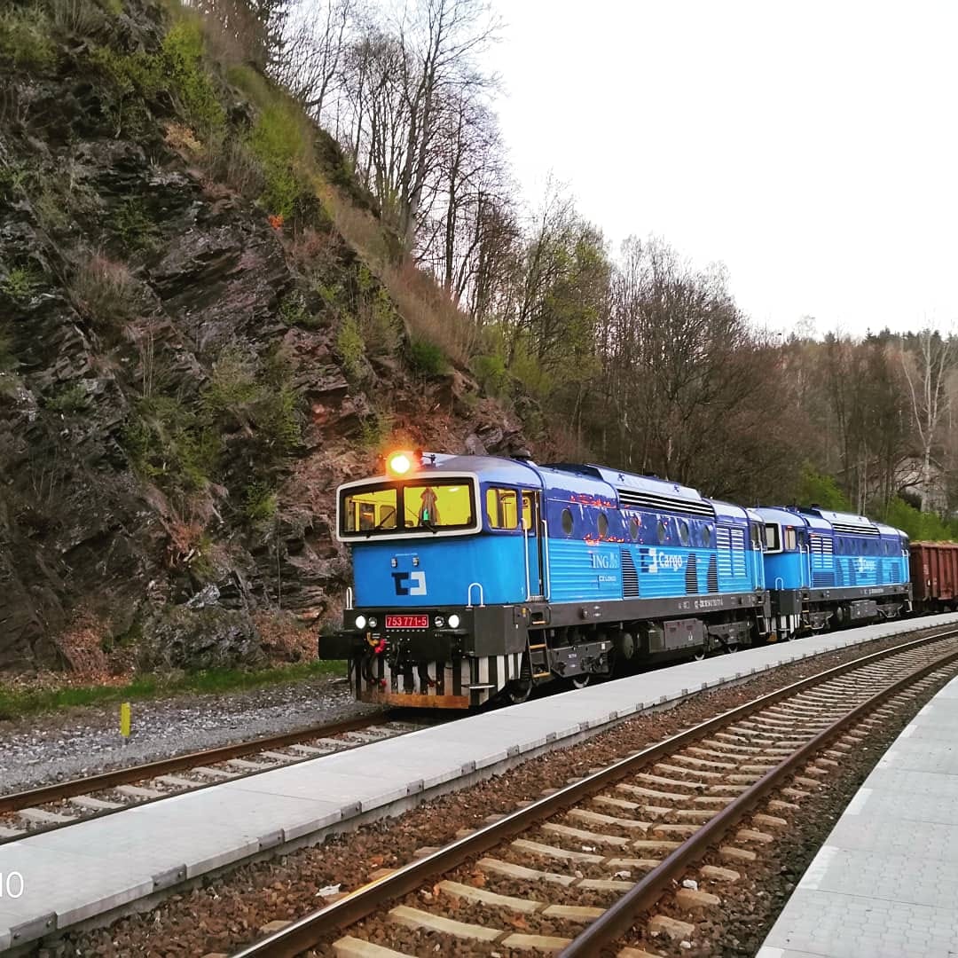 Blue diesel train locomotive 963 on tracks passing through a tree-lined railway cutting
