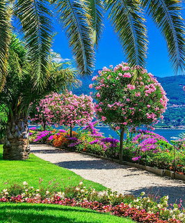 Lakeside Garden Path