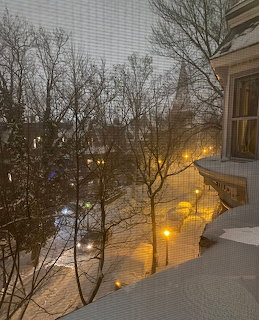Snowy residential street at dusk with bare trees and illuminated street lights