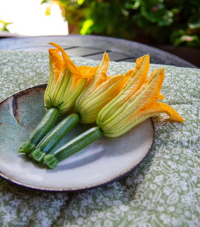 Fresh zucchini flowers with orange petals on a rustic ceramic plate on a green tablecloth outdoors