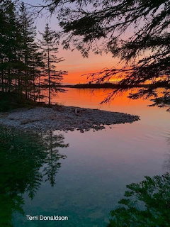 Lakeside Sunset Trees