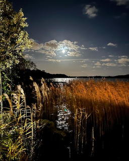 Moonlit Lake With Reds