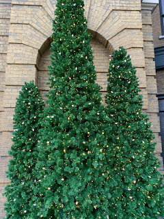 Christmas Trees Stone Archway