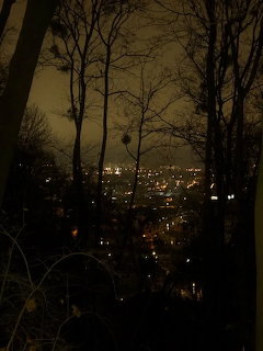 Nighttime city lights seen through dark bare trees