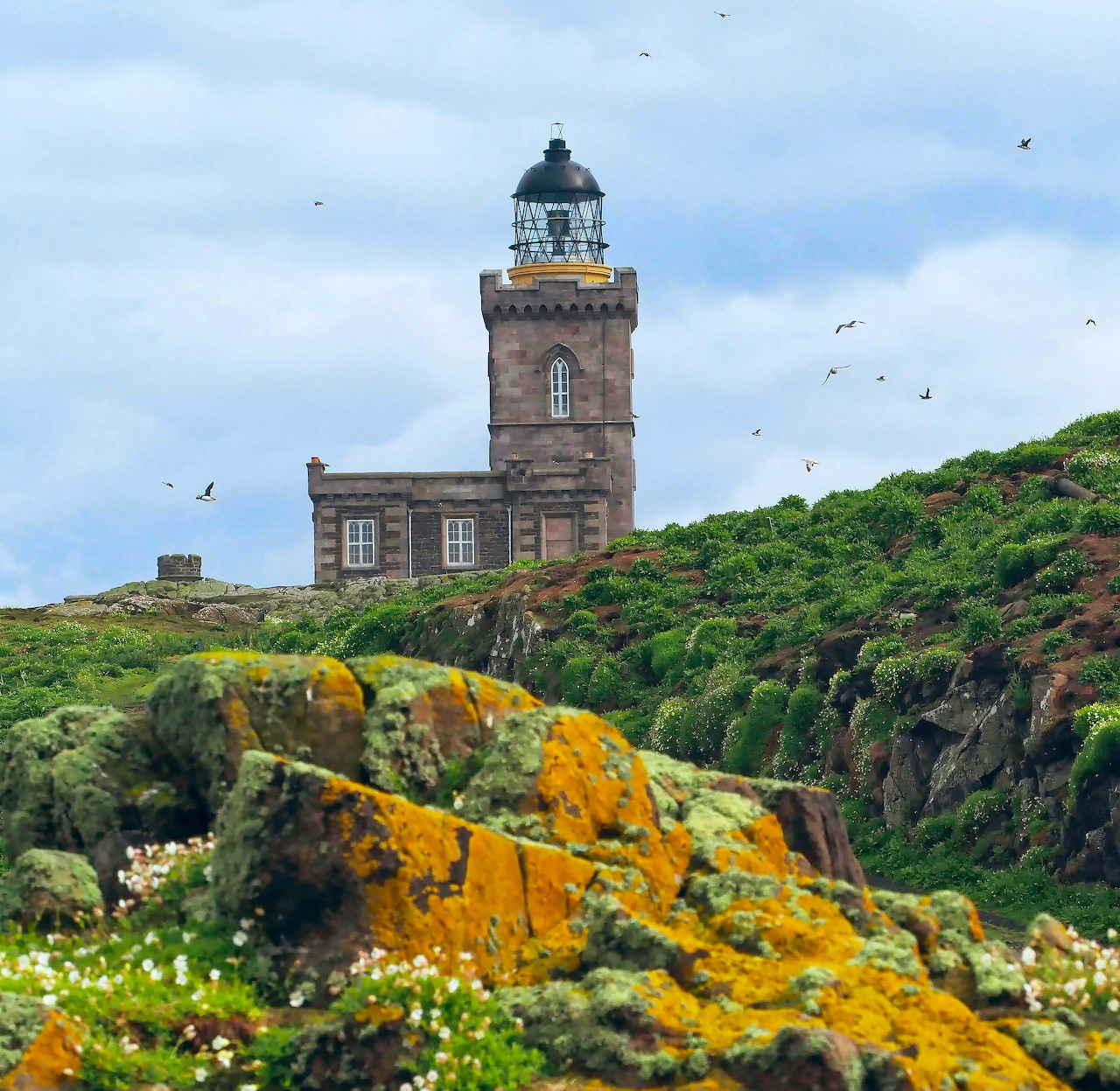 Stone lighthouse on green cliff with yellow lichen and flying seabirds under cloudy sky