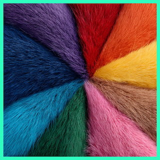 Fur Color Wheel