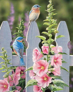 Two small birds on white fence among pink flowers