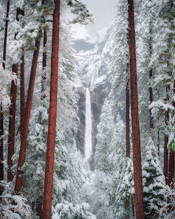 Yosemite Falls waterfall in winter with snow-covered pine trees in foreground