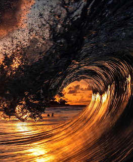 Curling ocean barrel wave at sunset with golden light reflecting on the water