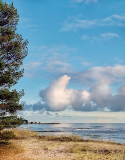 Baltic Sea Sandy Beach