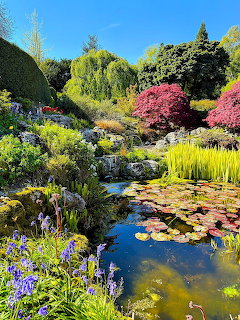 Colorful spring garden with lily pond, purple irises, pink azaleas, and lush green trees under blue sky