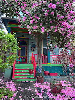 Pink camellia blossoms cover tree by colorful cottage with green siding and red stairs in Victoria BC