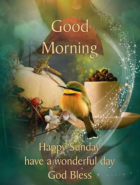 Good Morning Sunday Bird