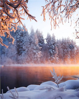Snow-covered trees surrounding a misty lake with warm sunrise light reflecting on the water