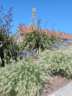 Ornamental grasses and purple flowers in a garden with red-roofed buildings and yellow sign in background