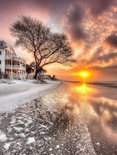 Winter sunset over a snowy beach with a bare tree, reflective water, and a house on the left