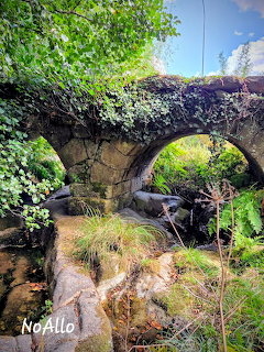 Old stone arch bridge covered in ivy over a small stream with lush green vegetation