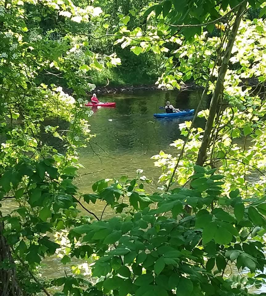 Two people in kayaks paddling on a calm river seen through dense green tree foliage