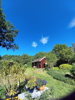 Red cottage in blooming garden with blue sky