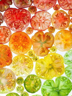 Colorful Tomato Slices