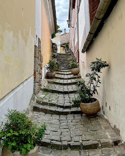 Stone steps ascending narrow alley between weathered buildings with cobblestones and plants