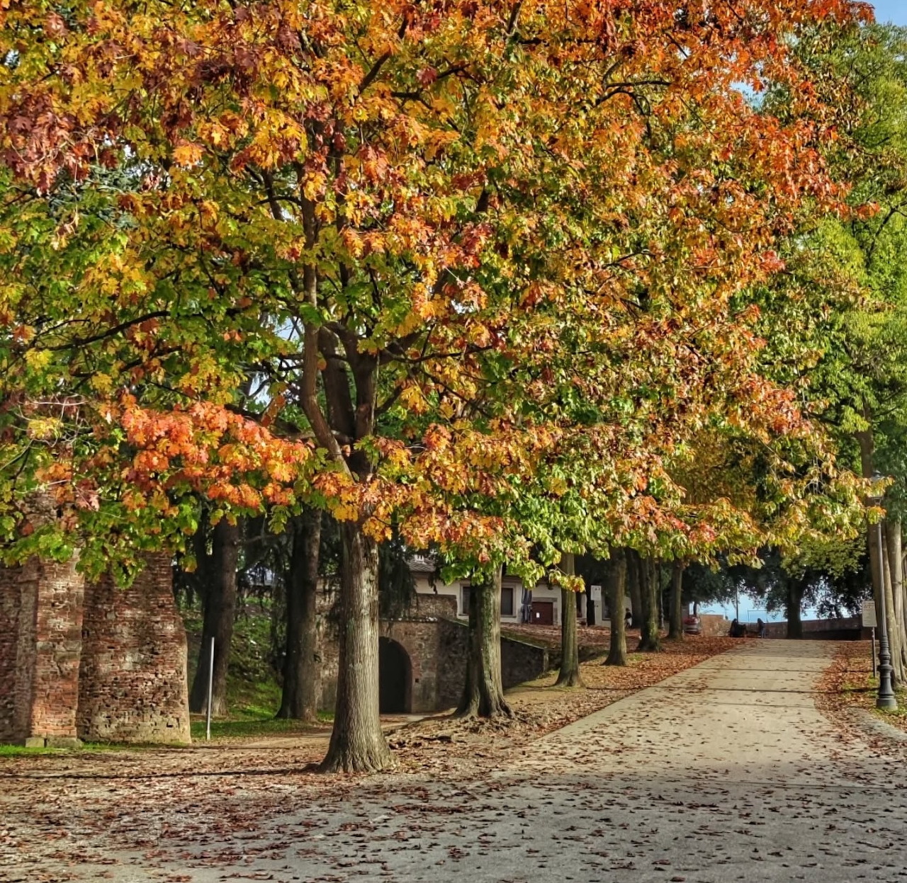 Lucca Autumn Walls