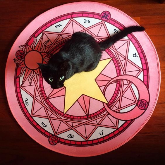 Black cat lying on a pink Cardcaptor Sakura magic circle rug with star and moon symbols