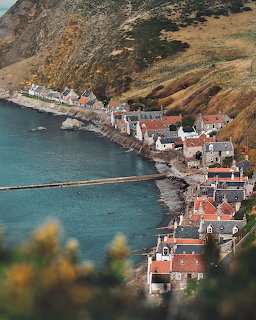 Aerial view of coastal village houses along rocky shore with hills
