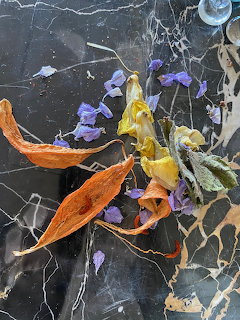 Dried orange leaves and purple and yellow flower petals scattered on dark marble surface
