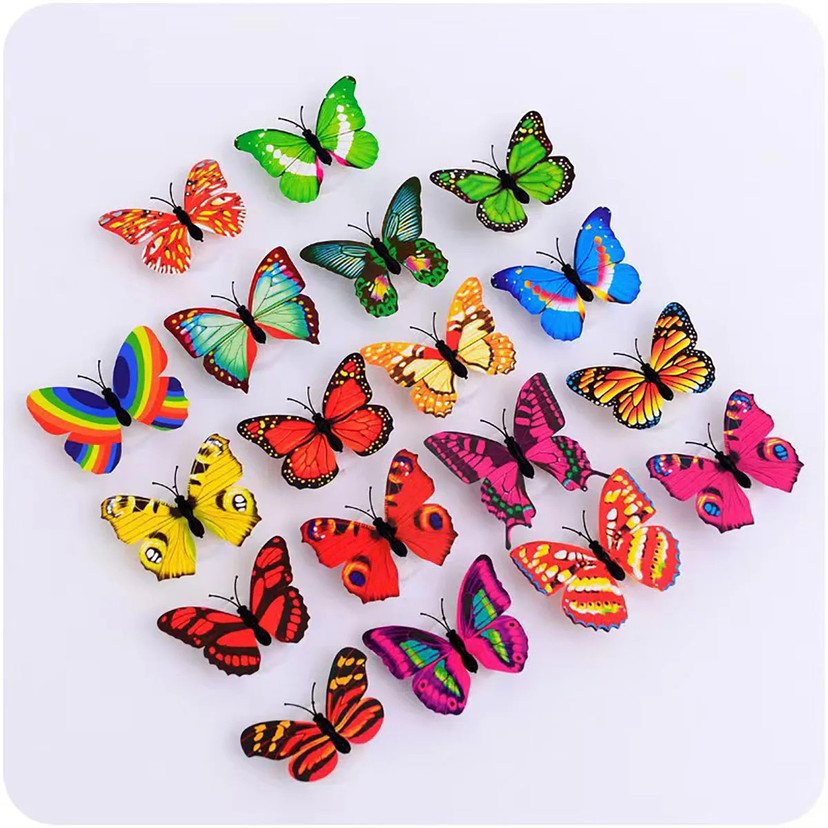Colorful Butterflies Collection