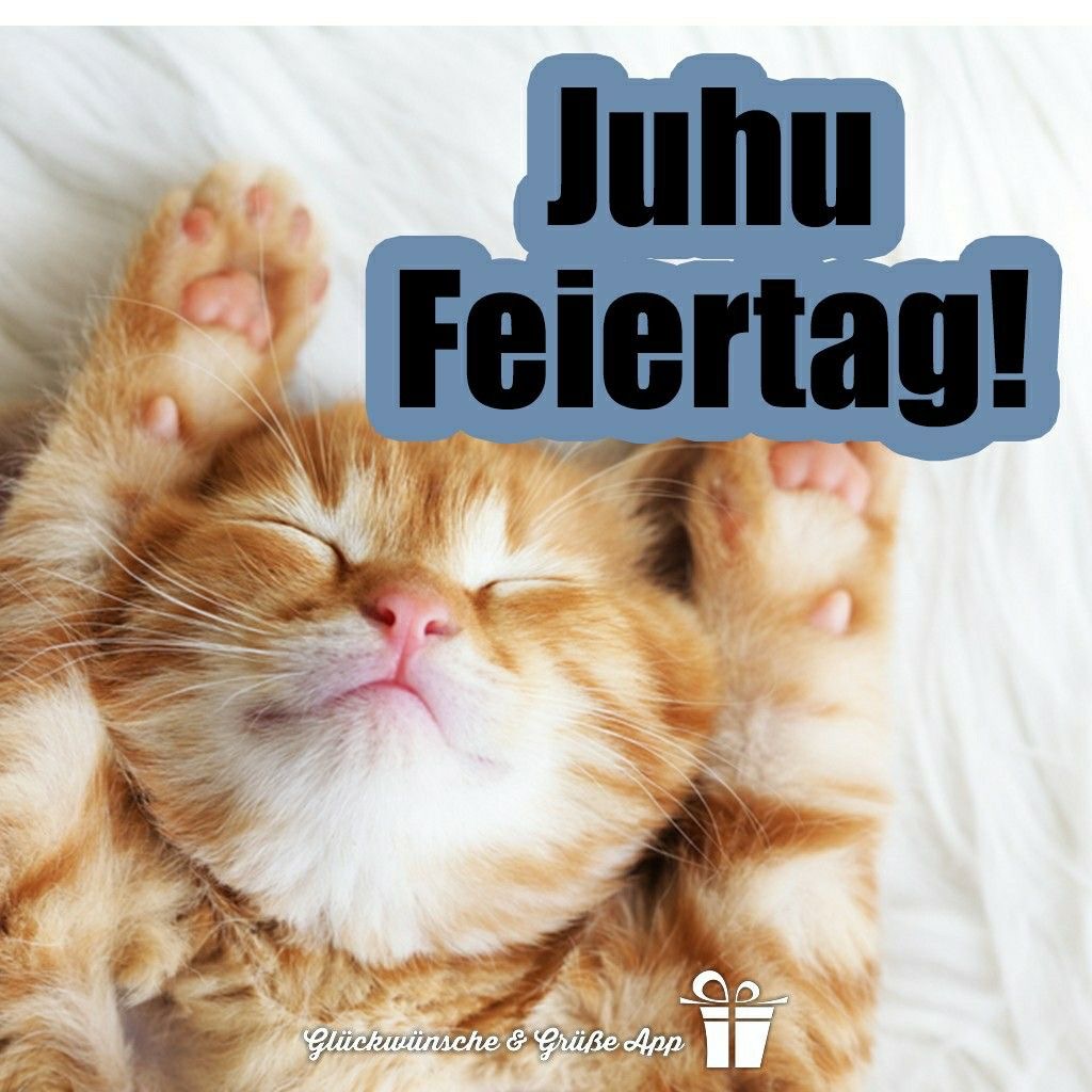 Sleeping ginger kitten with raised paws on a white blanket and the text "Juhu Feiertag!"