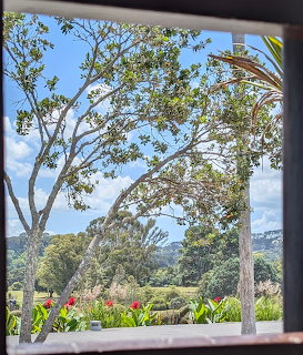 View through a window onto a garden with trees, red flowers, and blue sky