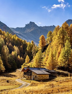 Wooden chalet in autumn mountain valley with golden trees and snow-capped peaks