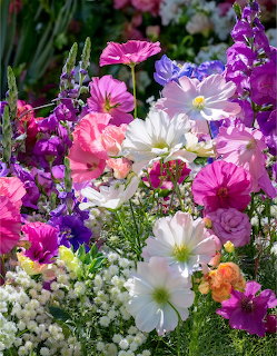 Dense garden display of pink, purple, and white flowers with green leaves