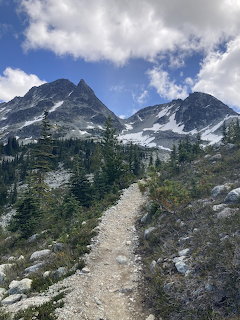 Hiking trail leading through alpine meadow toward snow-capped mountain peaks with evergreen trees
