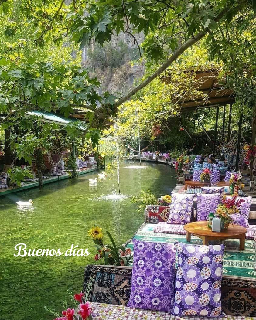 Outdoor garden cafe with colorful cushions beside a green pond with a fountain and lush trees