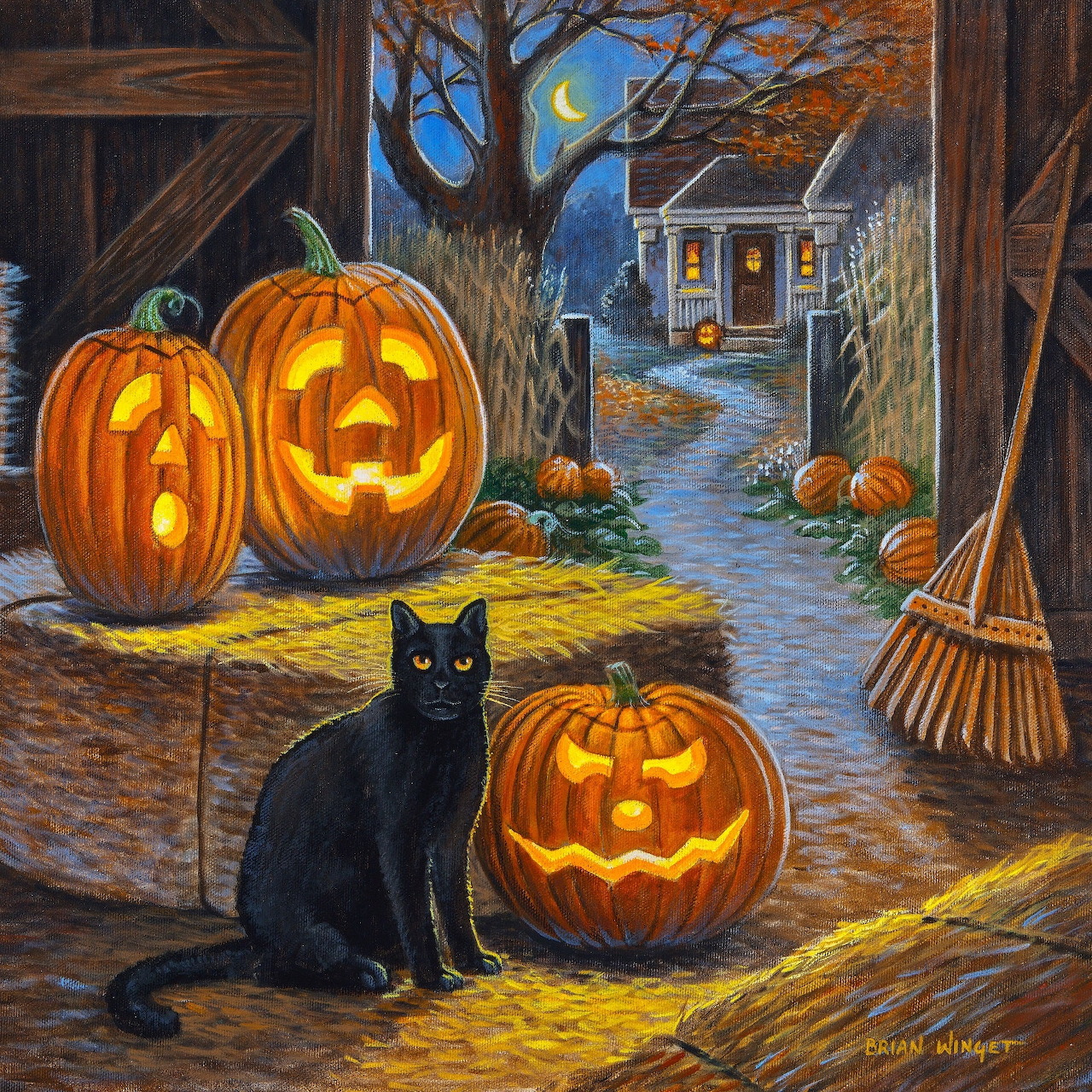 Black cat beside carved pumpkins glowing at night in autumn farmyard setting