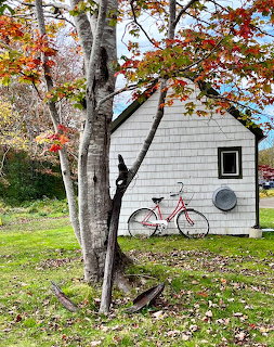 White shingled house with bicycle and autumn trees