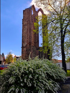 Tall gothic brick tower ruin with pointed arch windows covered in green ivy, flowering bush in foreground