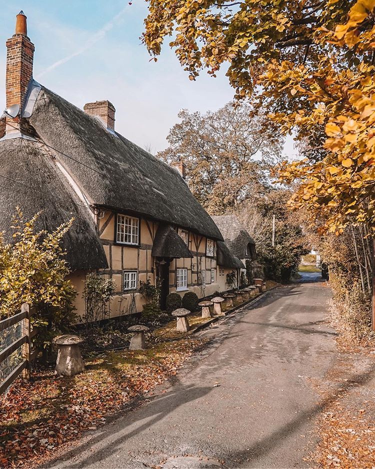 Traditional British thatched cottage with exposed timber beams on a tree-lined village street in autumn