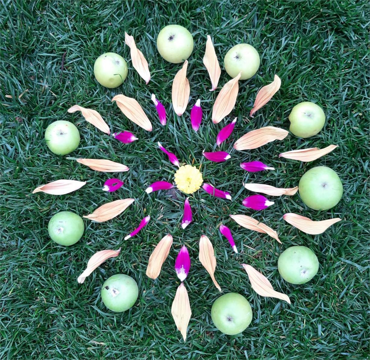 Green apples, leaves, and pink petals arranged in a mandala pattern on grass