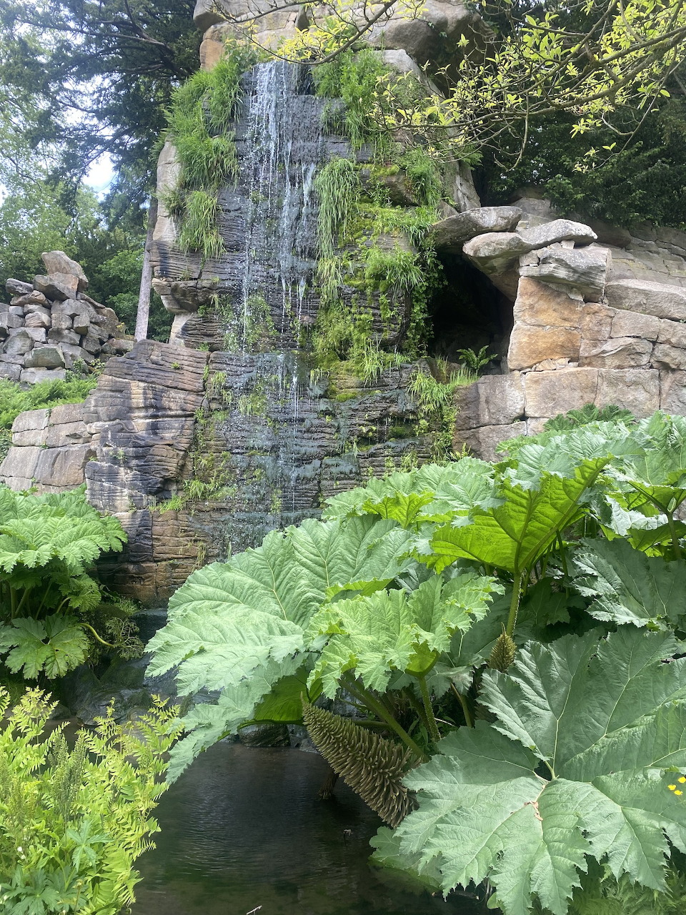 Waterfall flowing over stone wall in lush garden with large green plants and ferns