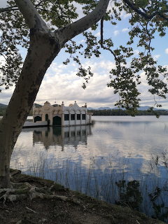Historic boathouse on Banyoles lake framed by a sycamore tree with calm water reflections