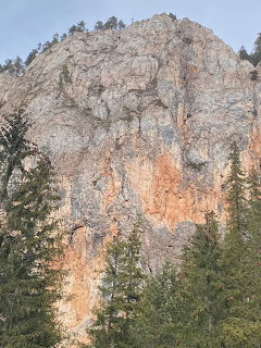Tall rocky cliff face with orange and grey stone above green pine trees