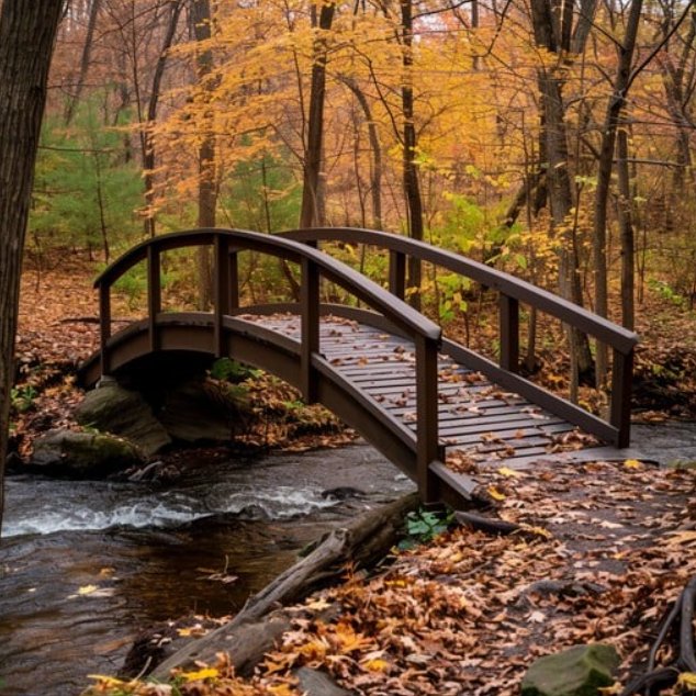 Wooden bridge crossing stream in autumn forest with orange and yellow leaves on ground and trees