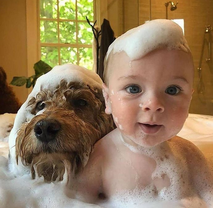 Baby and Dog in Bathtub
