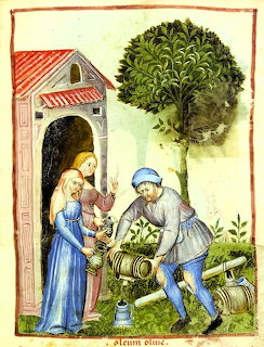 Medieval manuscript illustration of an olive oil merchant pressing olives with two women watching nearby